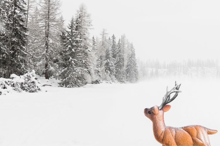 9 reindeer pulling santa's sleigh