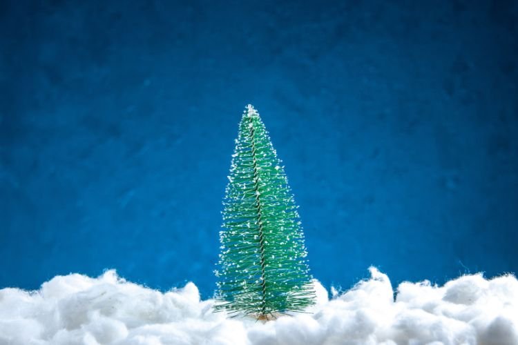 White Flocked Christmas Trees