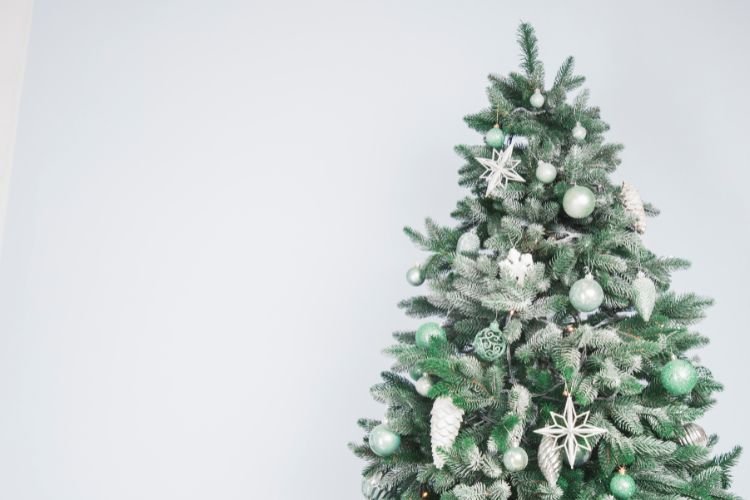 White Christmas Trees